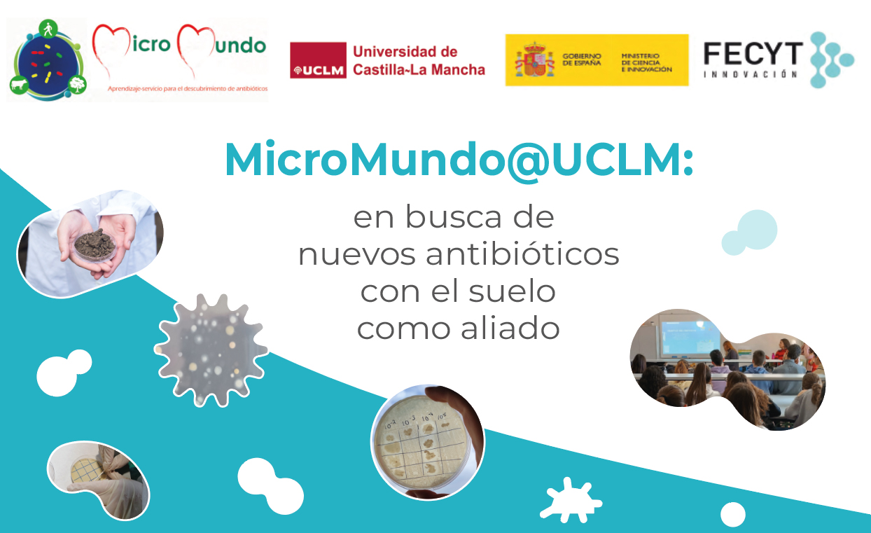 Micromundo proyecto