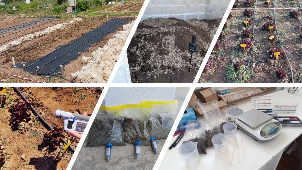 Agronomía y gestión de residuos