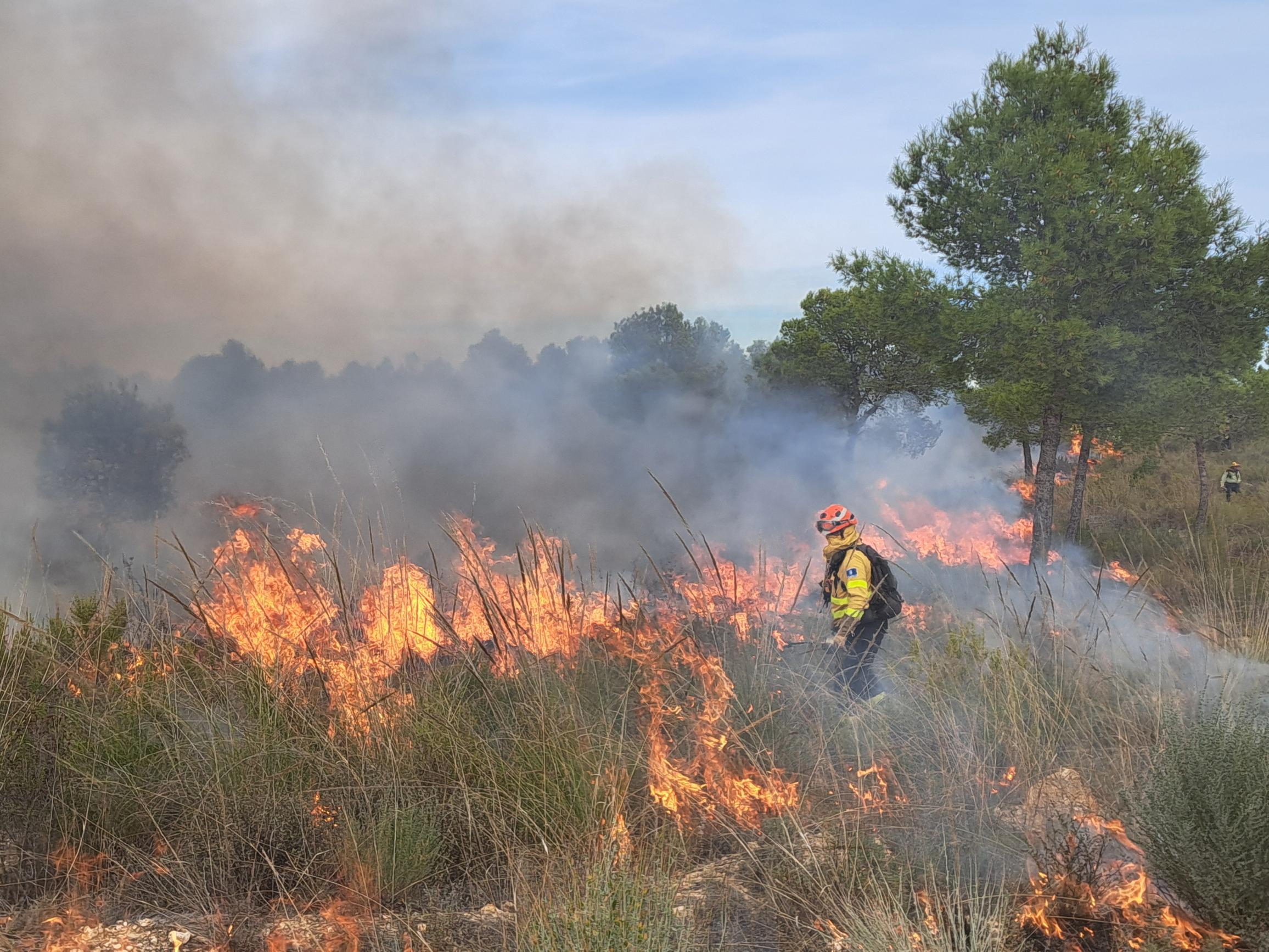 Incendios forestales 