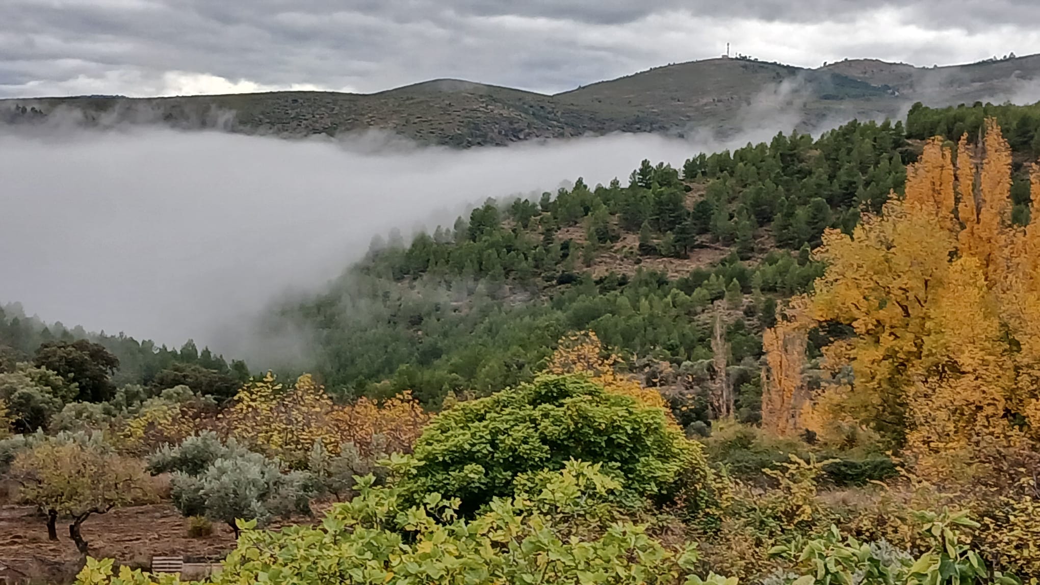 Primera portada general ECOFOR IMG-20251115-WA0006