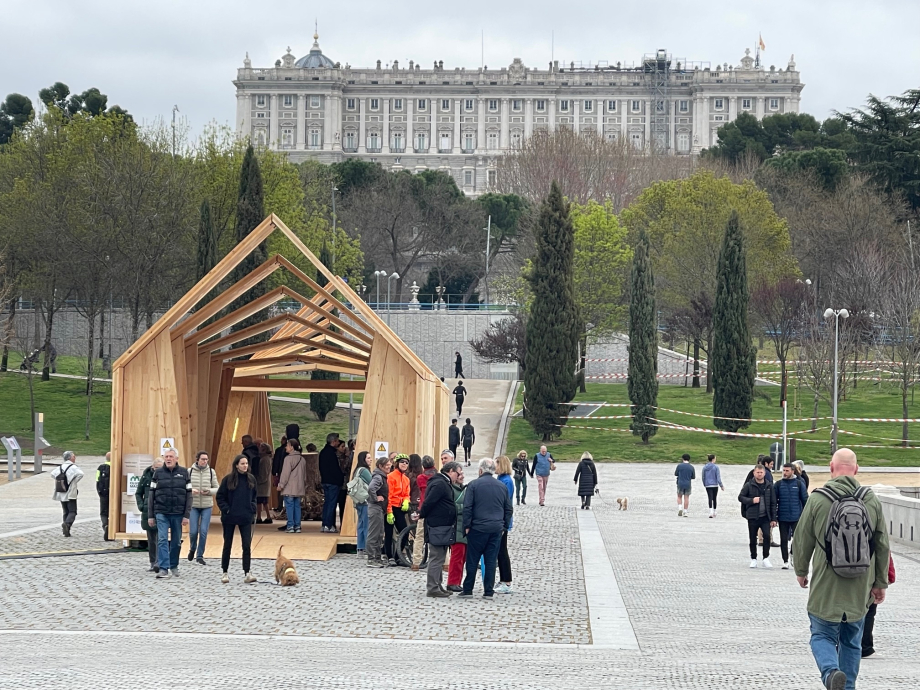 Día Internacional de los bosques, Club Madera, 2026.