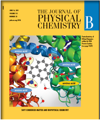 J. Phys. Chem. B. 2011, 115, 7637