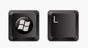 Windows_L