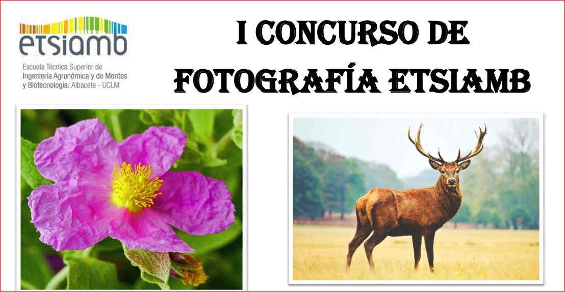 I-concursoFotografa-2