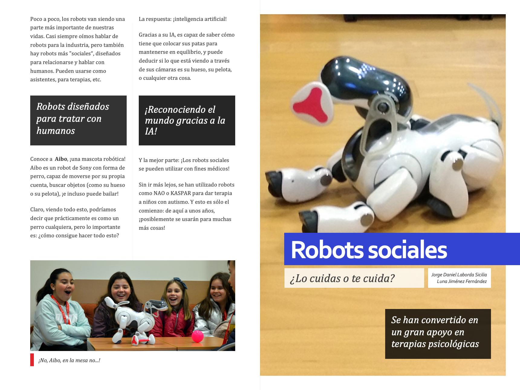 Robots sociales