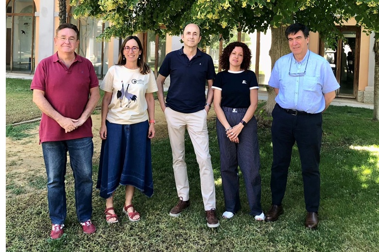 Equipo decanal