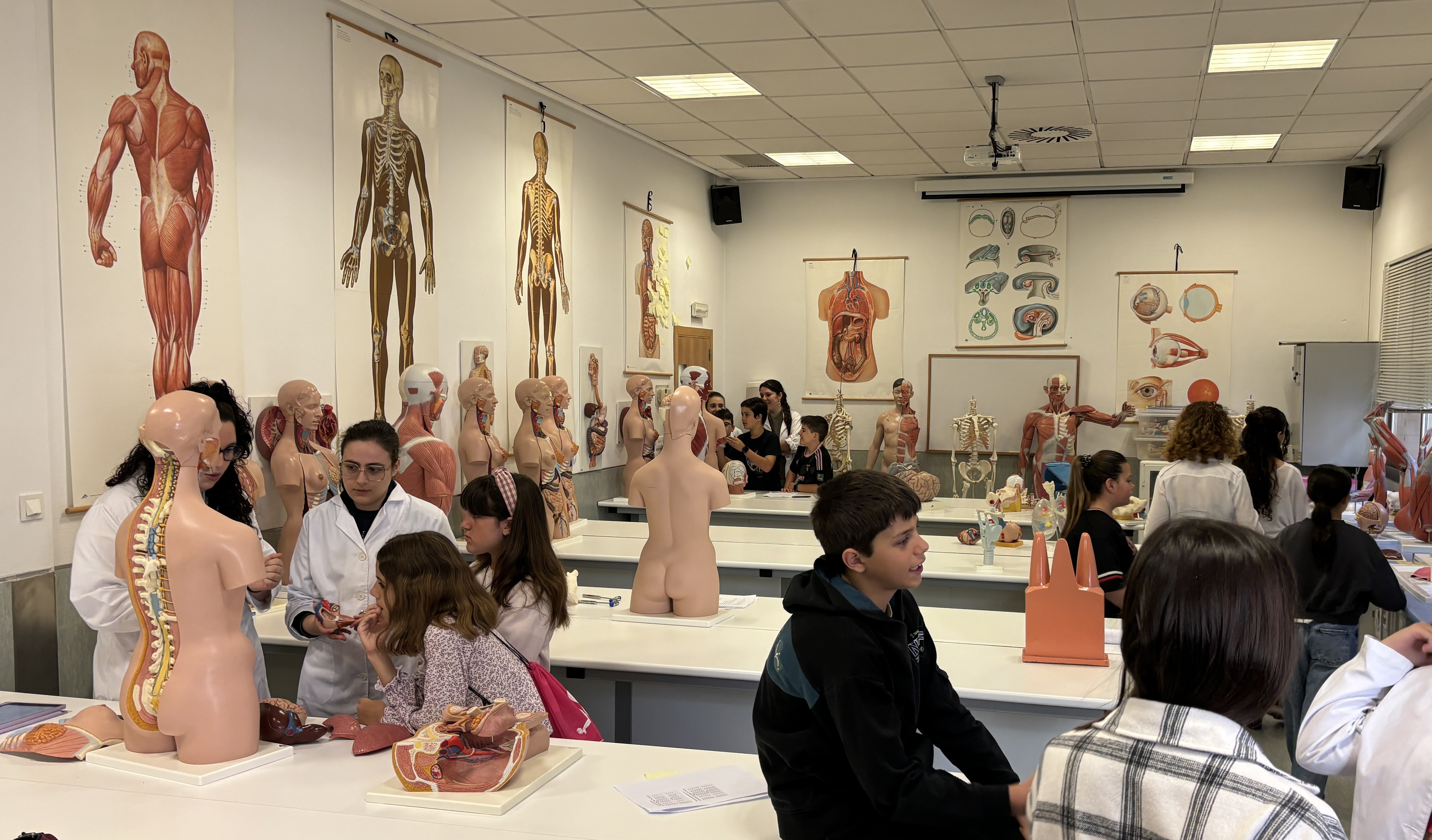 Estudiantes de la Facultad de Enfermería de Albacete y de 6º de Primaria del CEIP Príncipe Felipe en un proyecto Aprendizaje-Servicio. Anatomía y Fisiología Humana