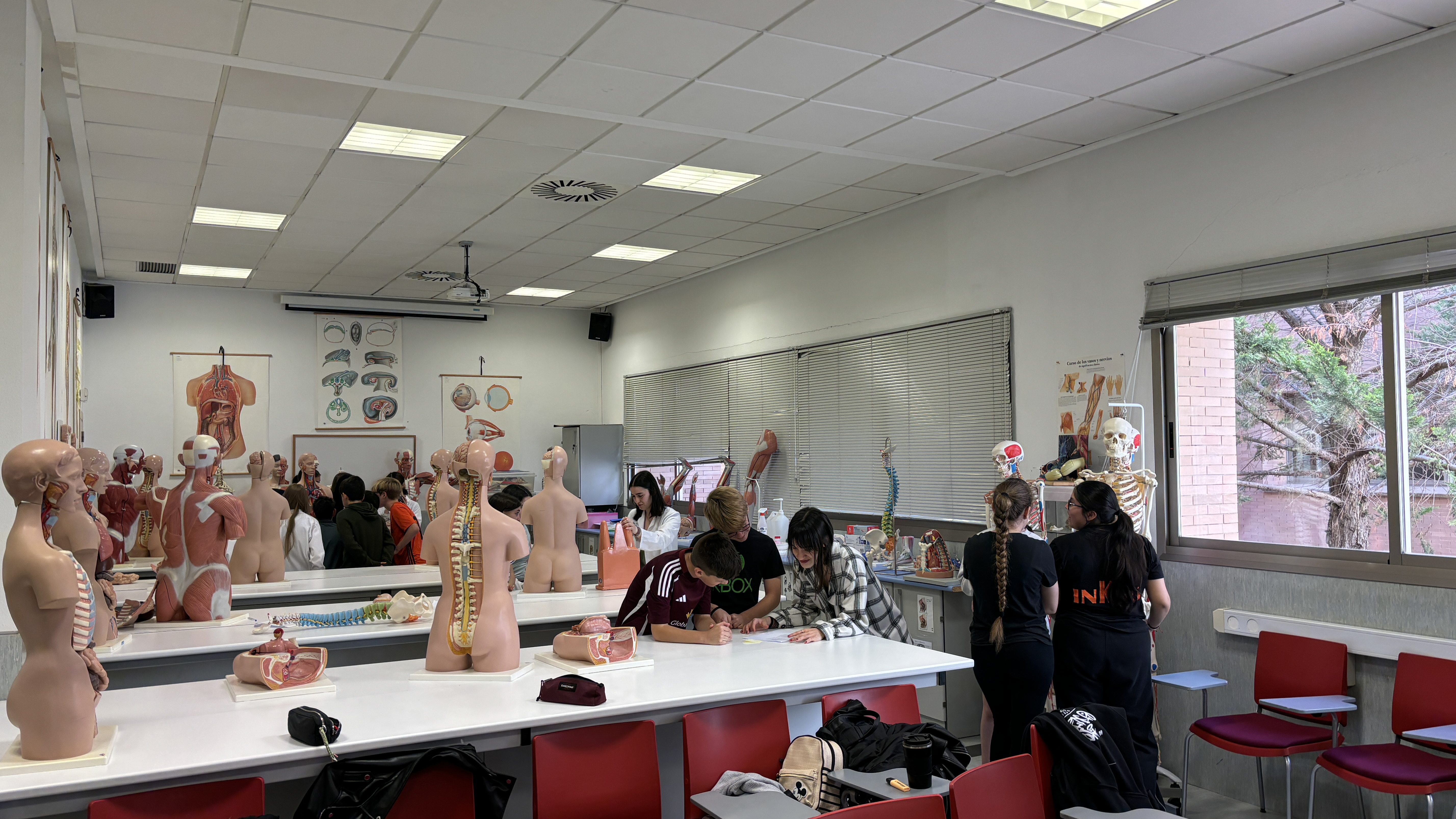Estudiantes de la Facultad de Enfermería de Albacete y de 6º de Primaria del CEIP Príncipe Felipe en un proyecto Aprendizaje-Servicio. Anatomía y Fisiología Humana