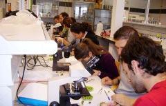 Laboratorios de prácticas