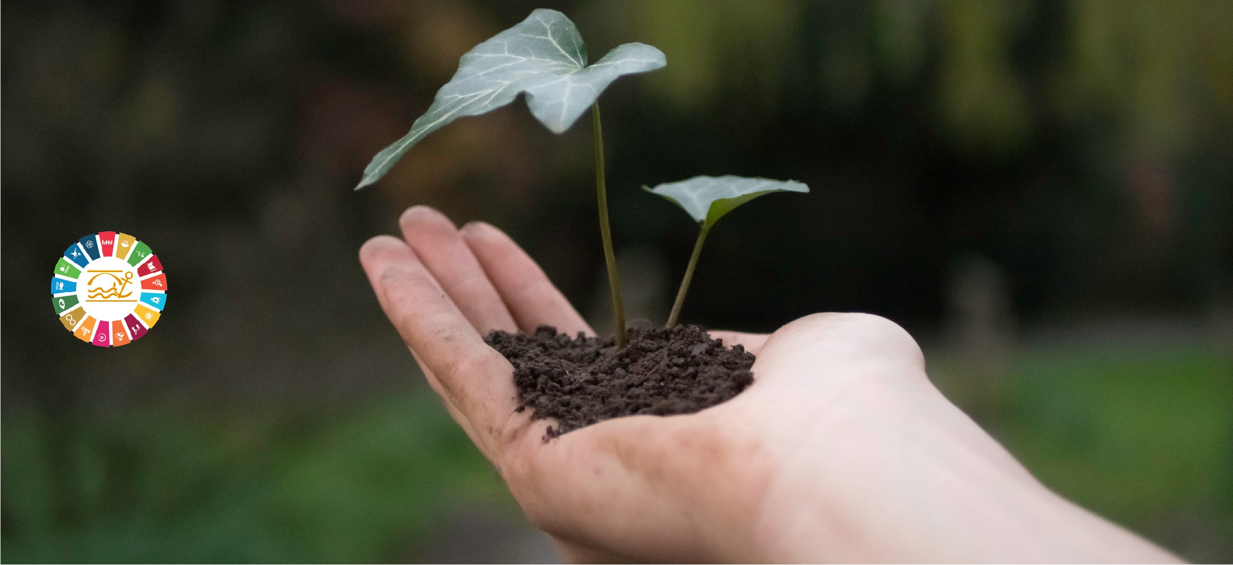 Adaptación al cambio climático