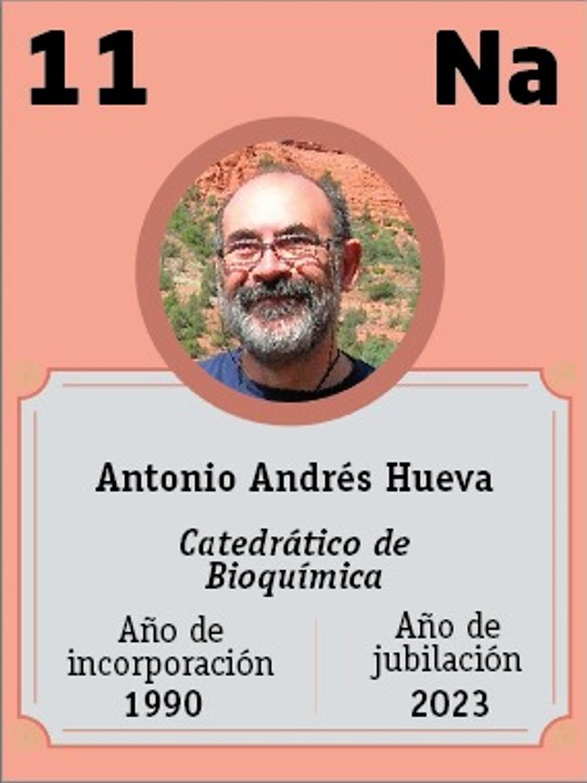antonio andres