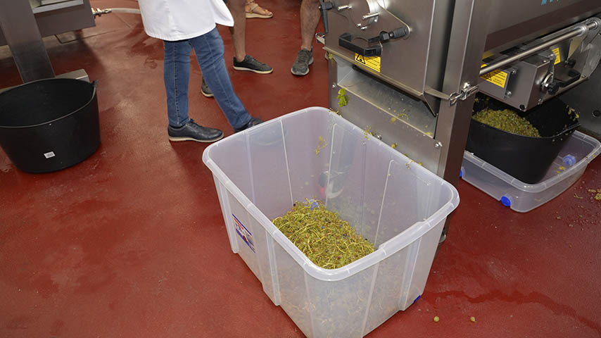 Un estudio de la UCLM concluye que la tecnología de pulsos eléctricos permite dotar de valor a los residuos del vino de forma más sostenible.