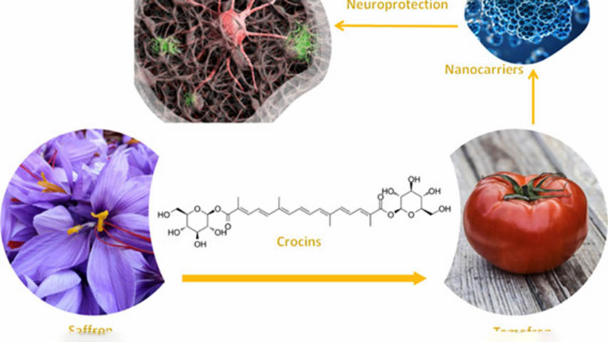 Tomafrán, exsomas. Neuroprotectores
