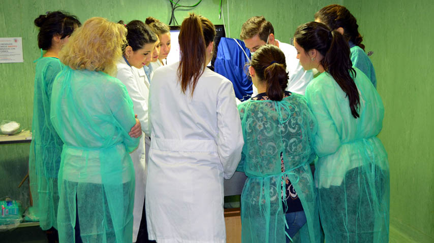 Sello Internacional de Calidad de la Federación Mundial de Educación Médica para el Grado en Medicina de la UCLM.