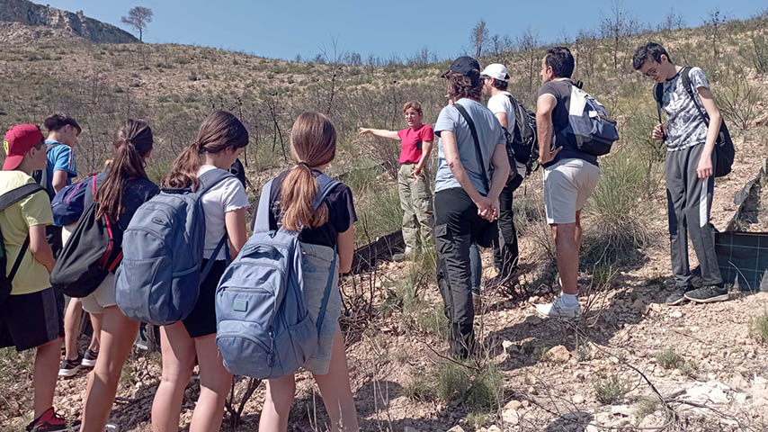 Plantando Cara al Fuego, Secundaria