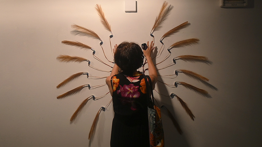 Exposición 