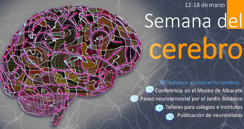 Semana del cerebro 2018