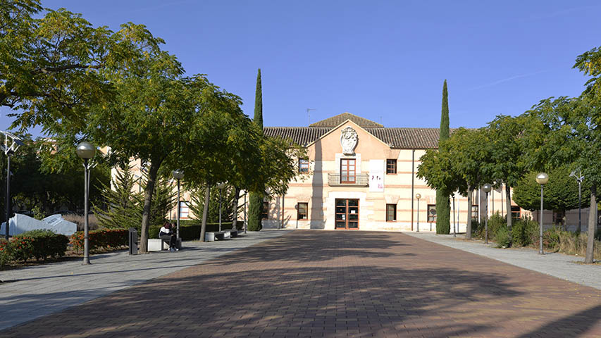 Premios de Investigación e Innovación 2025 de la Junta