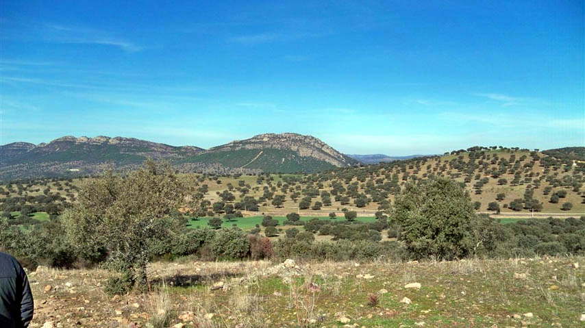 La UCLM participa en Geolodía 2018.