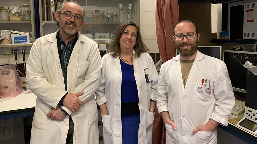 Investigación UCLM resveratrol.
