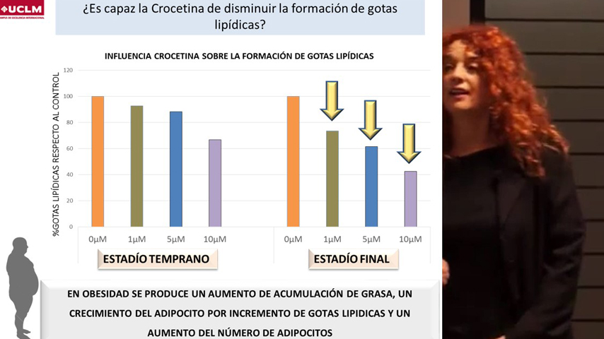 II Jornada azafrán, obesidad