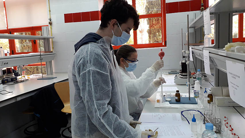 La Facultad de Ciencias y Tecnologías Químicas celebra su patrón, San Alberto Magno, con varios actos.