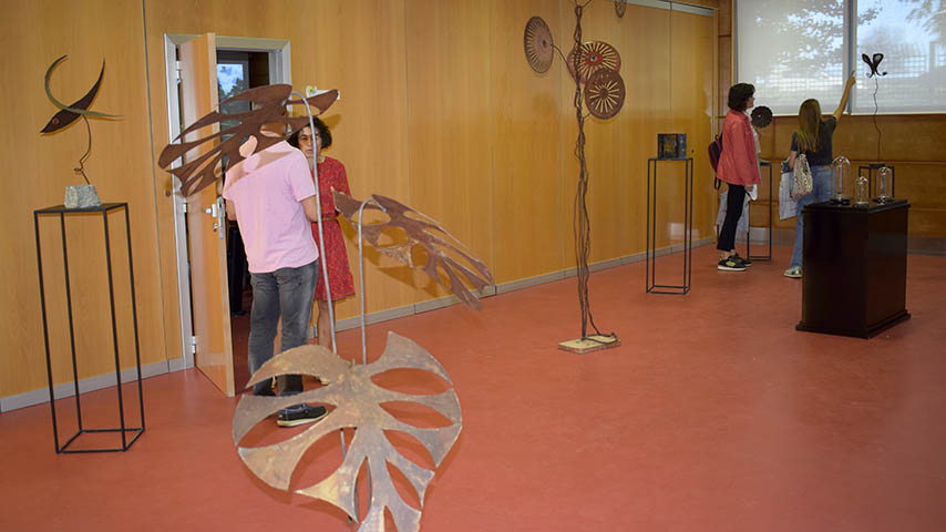 Curso de verano naturaleza y arte