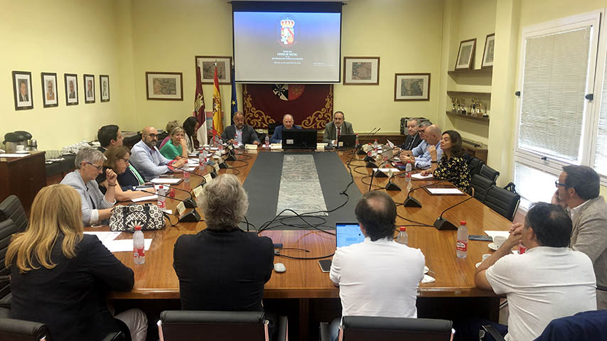 Pleno Consejo Social
