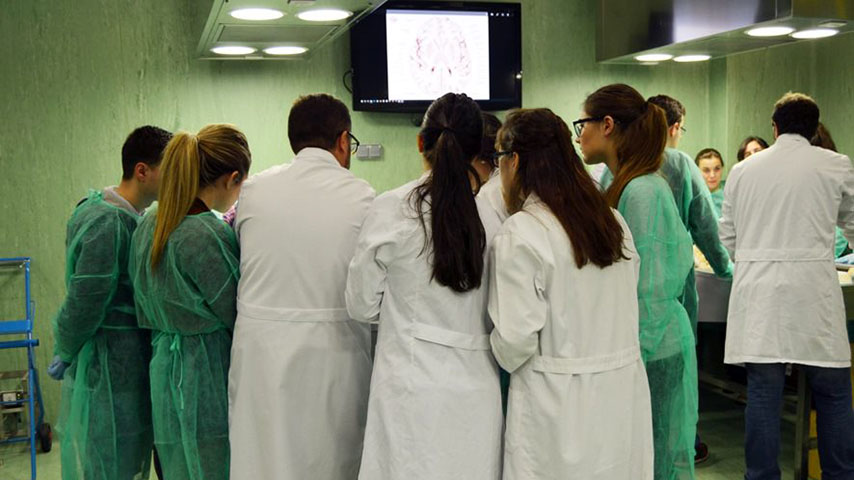 Un grupo de estudiantes de Medicina en la sala de disección
