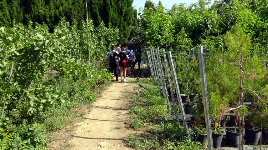 Educación ambiental