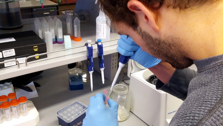 Becas de introducción a la investigación JAE Intro ICU 2025