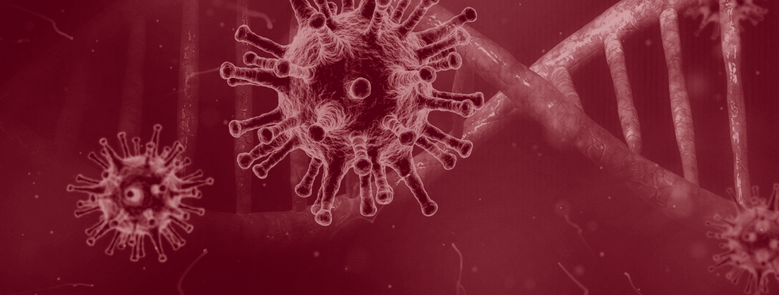 Imagen de coronavirus