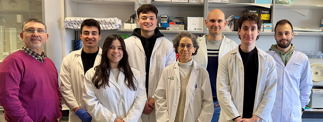 investigadores responsables de un prometedor estudio sobre el sarcoma