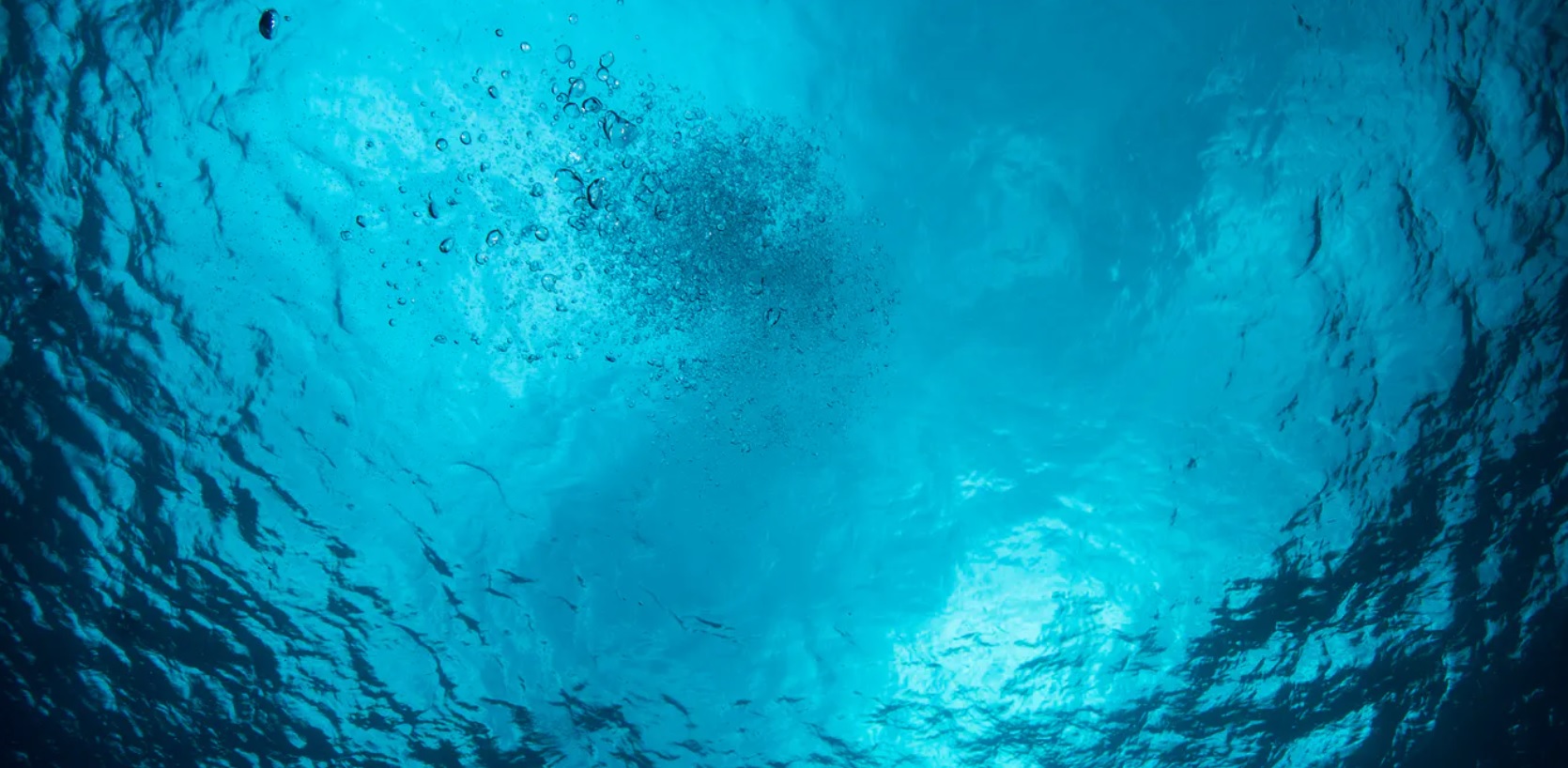 El fino equilibrio entre bacterias y vir