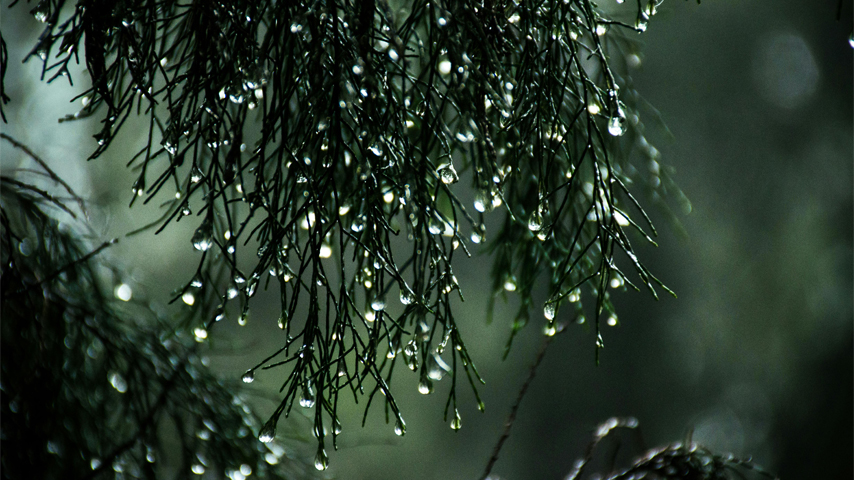 Las precipitaciones desafían a los model
