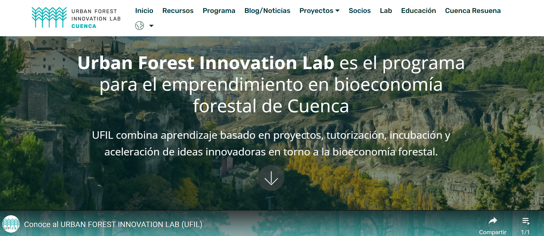 Mentoría técnica – Urban Forest Innovati