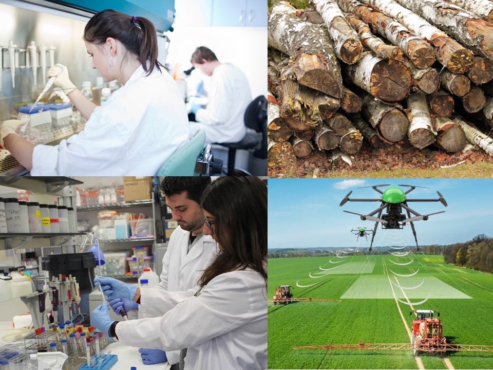 Estancias Investigación ETSIAMB