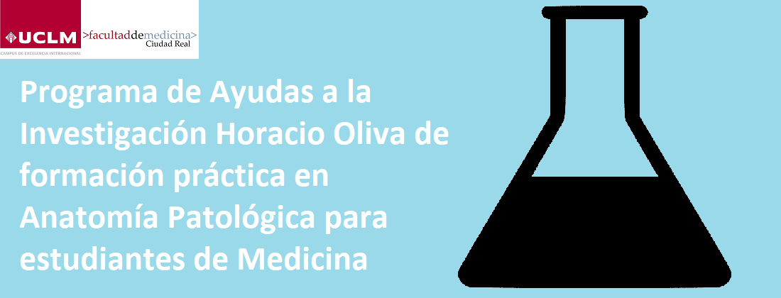 NUEVA CONVOCATORIA: Programa de Ayudas a
