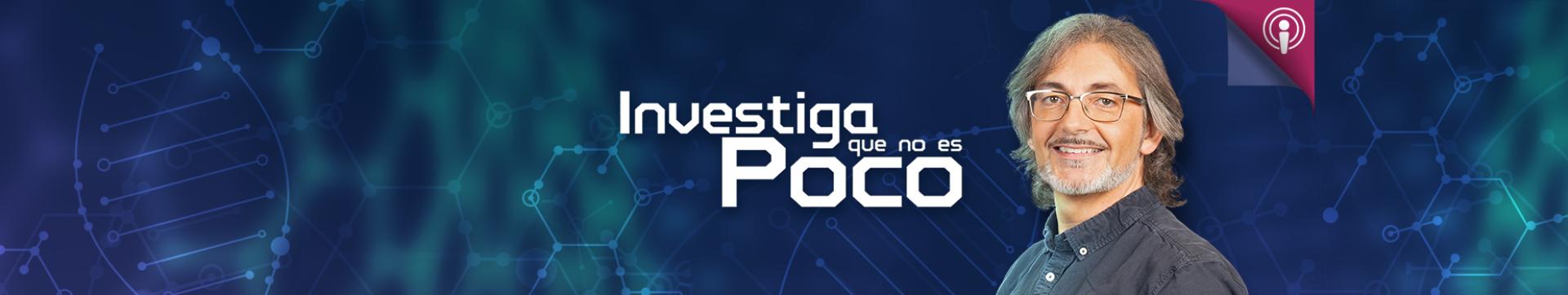 Final 3MT 2024