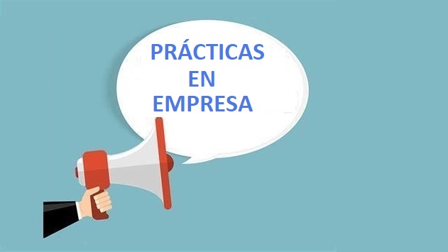 prácticas en empresa