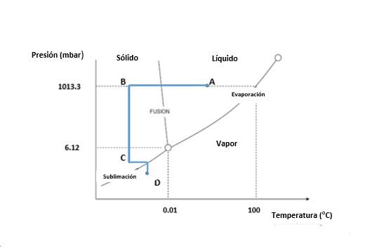 Etapas de liofilización